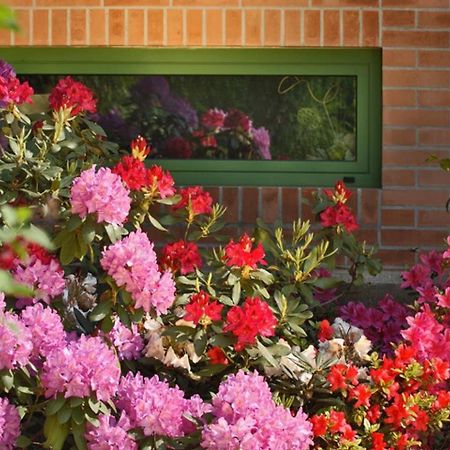 Villa Delle Ortensie Tavagnacco ภายนอก รูปภาพ