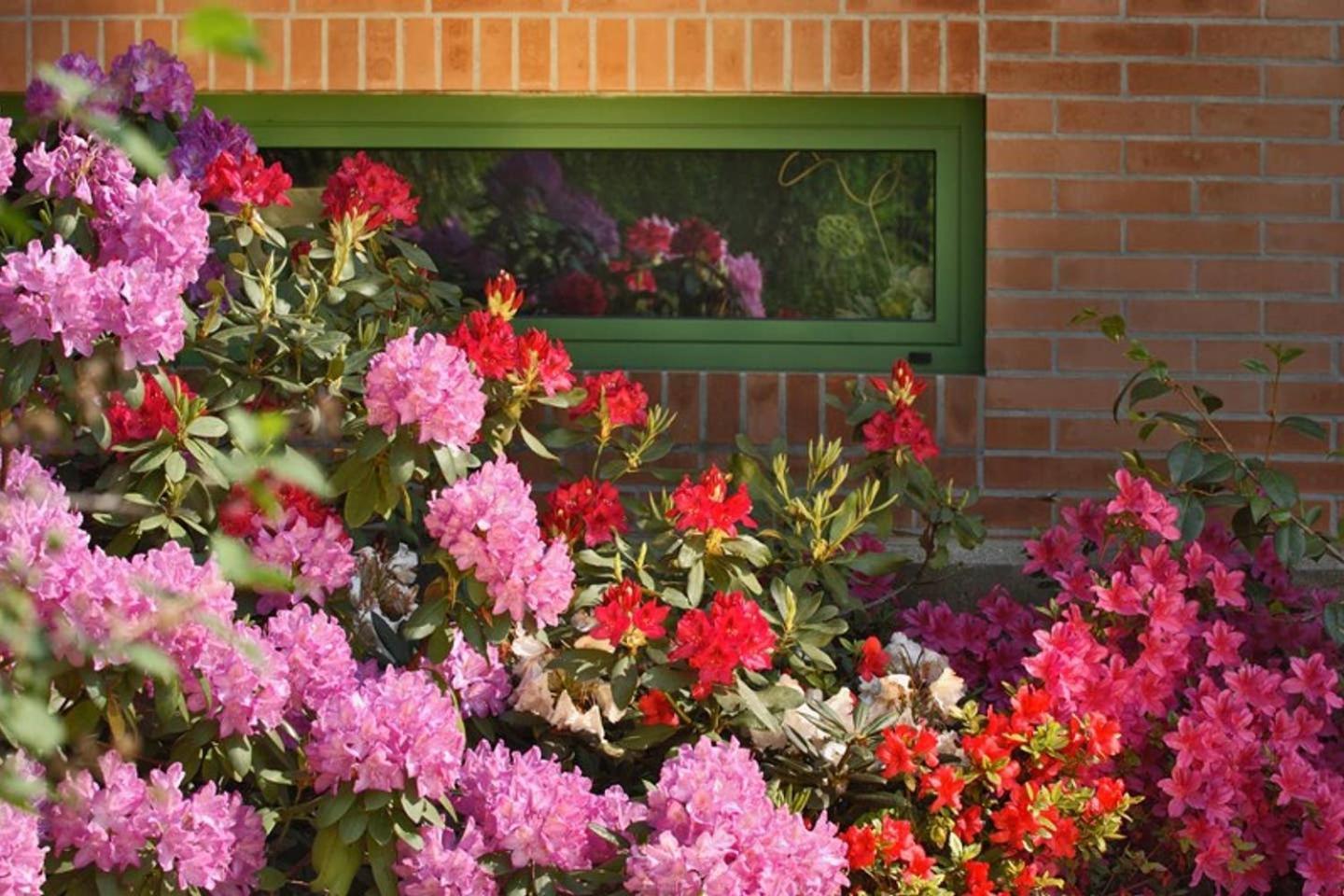 Villa Delle Ortensie Tavagnacco ภายนอก รูปภาพ